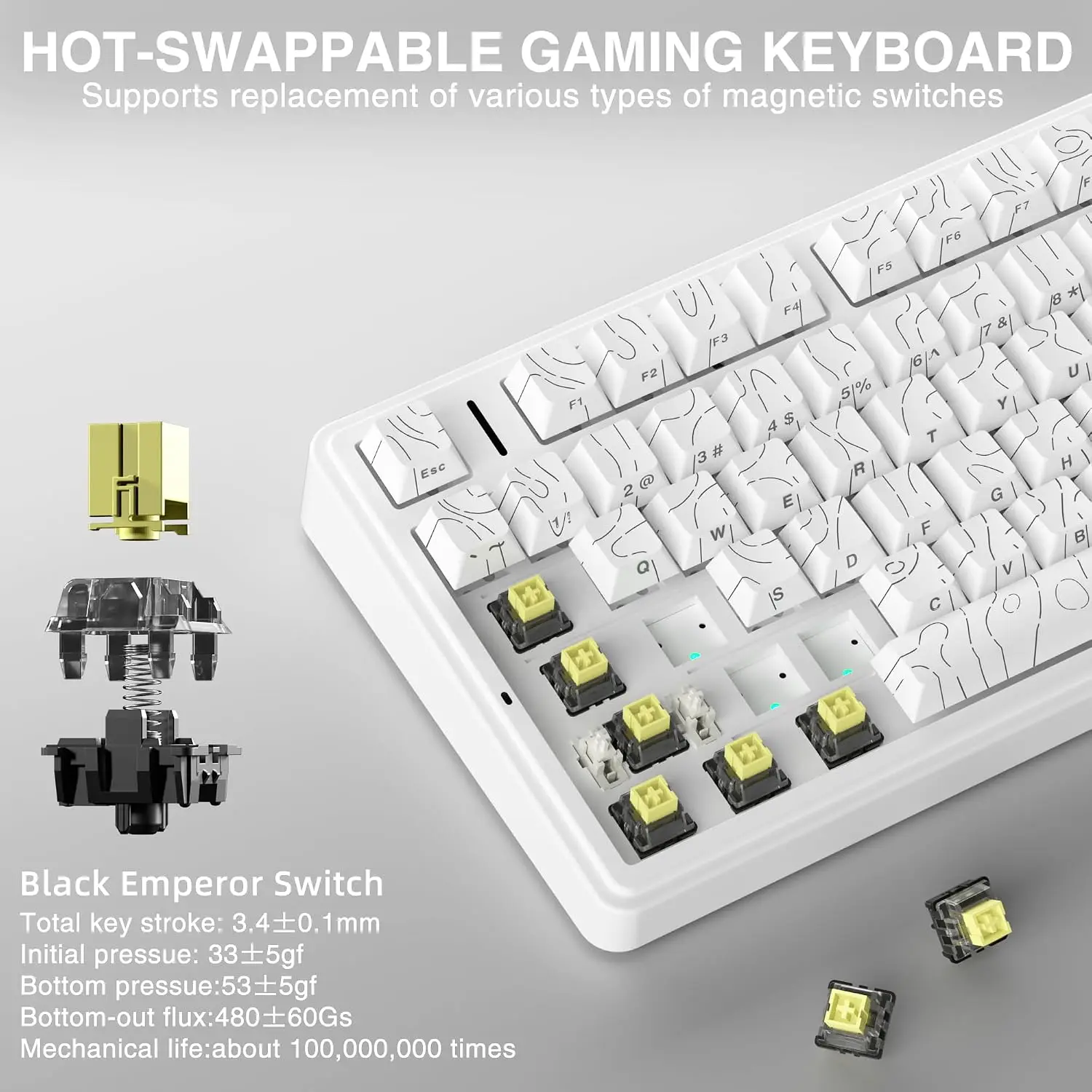AULA F75 HE Magnetische Tastat – Gaming Keyboard Mechanical Bewertung und Preis